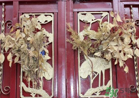 端午節(jié)門上掛的那個(gè)草叫什么？端午節(jié)掛門上的叫什么？