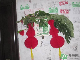 端午節(jié)門上掛的那個(gè)草叫什么？端午節(jié)掛門上的叫什么？