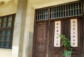 端午節(jié)插門上的是什么？端午節(jié)為什么要插艾草？