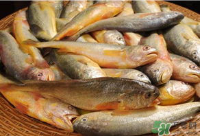 端午節(jié)為什么要吃黃魚(yú)？端午節(jié)吃黃魚(yú)的由來(lái)