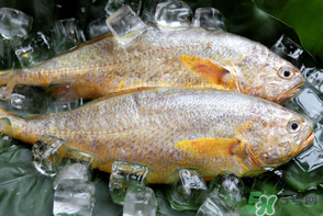 端午節(jié)為什么要吃黃魚(yú)？端午節(jié)吃黃魚(yú)的由來(lái)