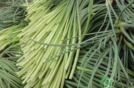 蒜薹怎么保存？蒜薹如何保存