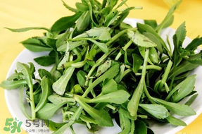養(yǎng)心菜能生吃嗎？養(yǎng)心菜怎么吃？