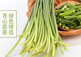 蒜薹是怎么長出來的？蒜薹和蒜苔有什么區(qū)別