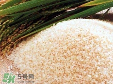 包粽子的米要泡多久？包粽子的米是什么米？