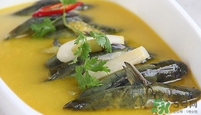 黃辣丁能和菠菜同食不？菠菜可以和黃辣丁一起吃嗎