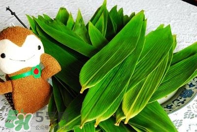 包粽子的葉子叫什么？包粽子的葉子怎么處理？