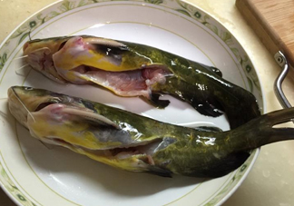 黃辣丁一斤多少錢？黃辣丁價格