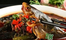 黃辣丁一斤多少錢(qián)？黃辣丁價(jià)格