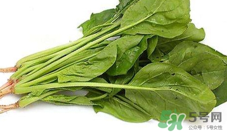 黃辣丁能和菠菜同食不？菠菜可以和黃辣丁一起吃嗎