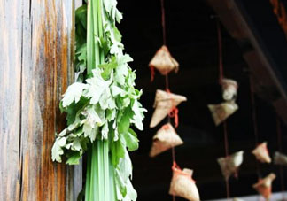 端午節(jié)門上掛的那個(gè)草叫什么？端午節(jié)掛門上的叫什么？