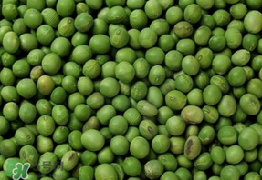 青豆可以打豆?jié){嗎？青豆能做豆?jié){嗎？