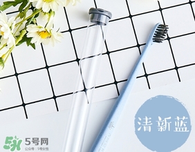 amortals爾木萄牙刷怎么樣？amortals爾木萄牙刷多少錢？