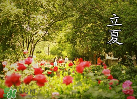 ?立夏是夏天嗎？?立夏是夏天的開始嗎？