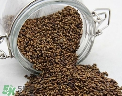 決明子泡水喝要炒熟嗎？決明子泡水的功效