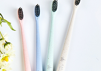 amortals爾木萄牙刷怎么樣？amortals爾木萄牙刷多少錢？