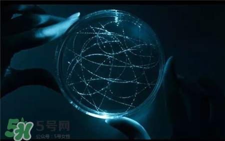 碧歐泉奇跡水是精華嗎?碧歐泉奇跡水適合年齡 碧歐泉奇跡水是精華嗎?碧歐泉奇跡水適合年齡