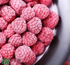 樹莓的熱量 樹莓可以減肥嗎？