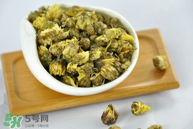 立夏喝菊花好嗎？立夏能吃苦菊嗎？