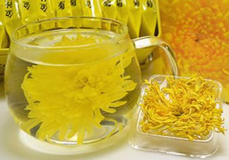 立夏喝菊花好嗎？立夏能吃苦菊嗎？