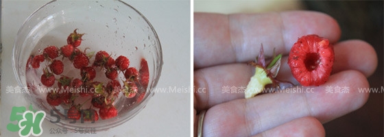 樹莓有毒嗎？樹莓有刺嗎？