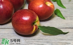 油桃什么時(shí)候成熟？油桃什么季節(jié)成熟