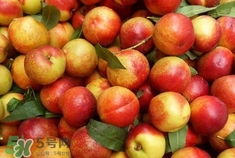 孕婦可以吃油桃嗎？孕婦能吃油桃嗎