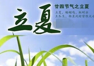 立夏后吃什么好？立夏后吃什么？