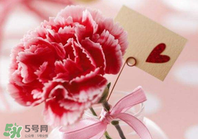 母親節(jié)要送婆婆禮物嗎？母親節(jié)要給婆婆買禮物嗎？