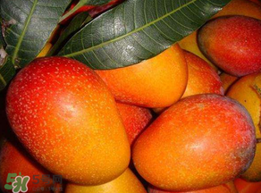 甜瓜和芒果可以一起吃嗎？甜瓜和芒果一起吃好嗎？