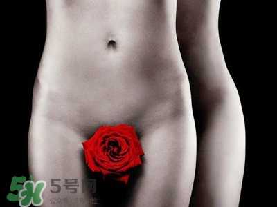 什么叫玉蛋功？玉蛋功教學(xué)的教學(xué)視頻