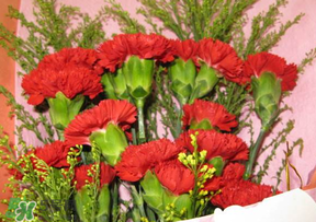 母親節(jié)要不要給男朋友媽媽買禮物？母親節(jié)送男友媽媽禮物