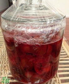 三華李能泡酒嗎？三華李怎么泡