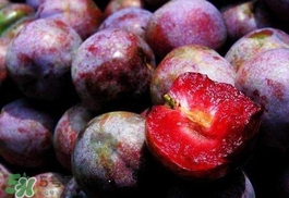 三華李怎么種植？三華李種植技術(shù)