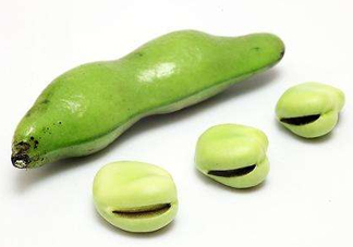 青蠶豆有毒嗎？青蠶豆的功效與作用