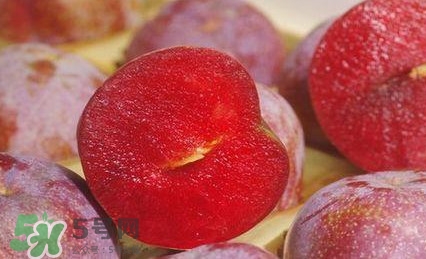 吃三華李有什么好處？三華李的功效與作用