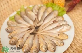 黃唇魚是黃花魚嗎？黃唇魚是黃魚嗎？