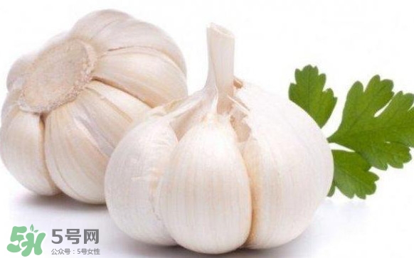 蒜頭怎么腌制好吃？腌制咸蒜的正確方法