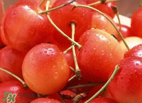 ?端午節(jié)還有櫻桃嗎？端午節(jié)可以摘櫻桃嗎？