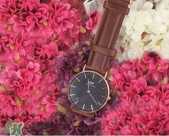 dw手表和卡西歐哪個好？dw手表和卡西歐手表哪個檔次高？