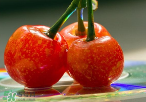 ?端午節(jié)還有櫻桃嗎？端午節(jié)可以摘櫻桃嗎？