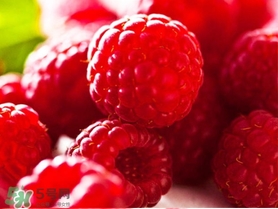 懷孕可以吃樹莓嗎？樹莓孕婦可以吃嗎？