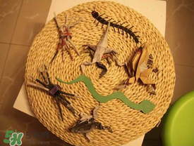 端午節(jié)五毒是什么？端午節(jié)為什么要避五毒？