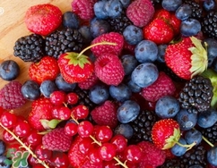 來月經(jīng)可以吃樹莓嗎？月經(jīng)期間吃樹莓好嗎？