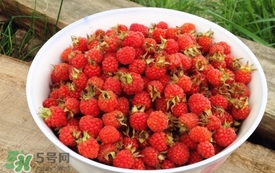 山莓是覆盆子嗎？山莓和覆盆子的區(qū)別