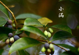 2017年小滿會(huì)下雨嗎？2017年小滿下雨好嗎？