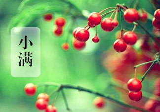 小滿是什么節(jié)氣？小滿是第幾個(gè)節(jié)氣？