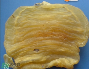 黃唇魚(yú)鰾一斤多少錢(qián)？黃唇魚(yú)鰾的藥用價(jià)值