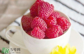 覆盆子是什么？覆盆子是樹(shù)莓嗎