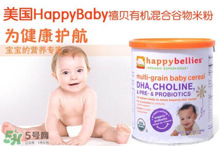 新版禧貝米粉含不含DHA？新版禧貝米粉的成分
